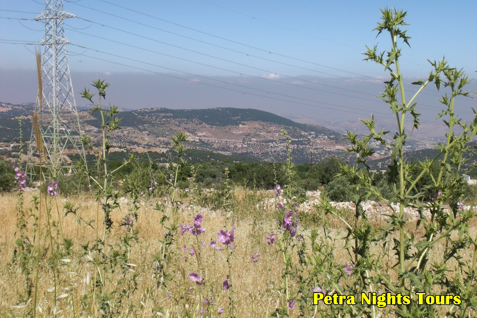 Ajloun Reserve Jordan Ajloun Tours Jordan Tours Travel To Jordan