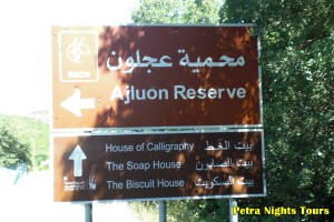 Ajloun Reserve