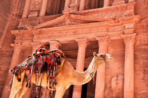 Camel in front of Treasury Petra, Jordan